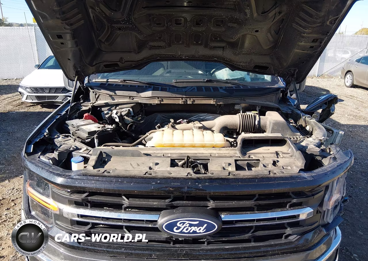2025 Ford F-150 Xlt VIN:1FTEW3LP5SKE09553 - 10