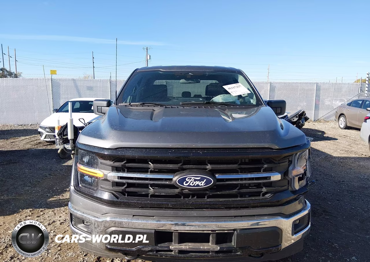 2025 Ford F-150 Xlt VIN:1FTEW3LP5SKE09553 - 12