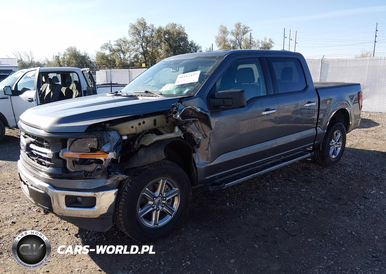 2025 Ford F-150 Xlt VIN:1FTEW3LP5SKE09553 - 2