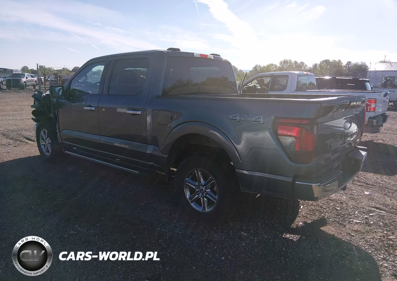 2025 Ford F-150 Xlt VIN:1FTEW3LP5SKE09553 - 3