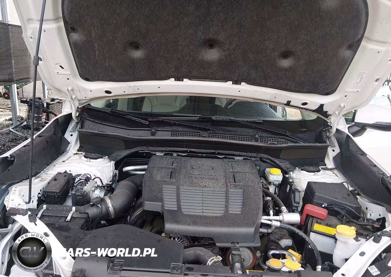 2023 Subaru Forester Limited VIN:JF2SKAPC5PH500046 - 10