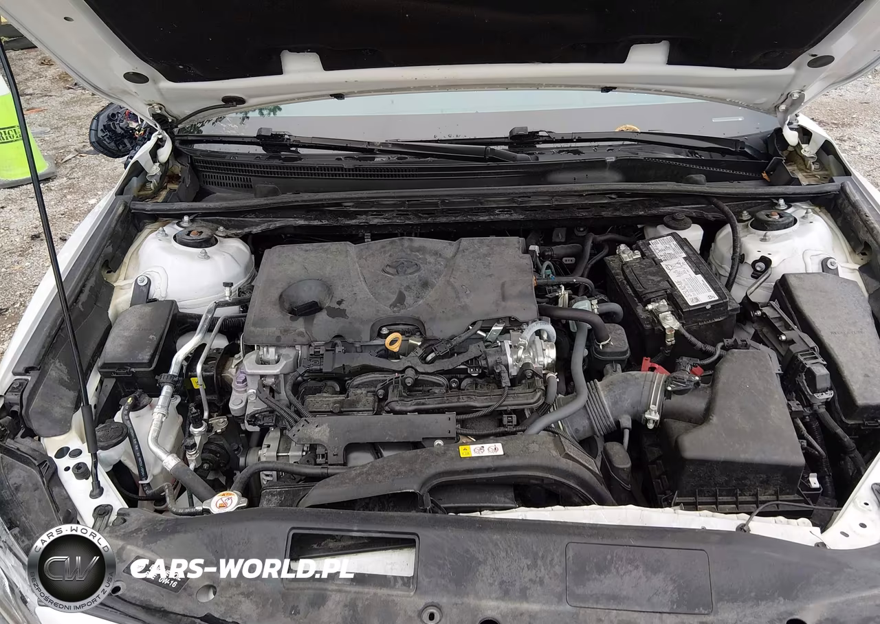 2024 Toyota Camry Xse VIN:4T1K61AK2RU189197 - 10