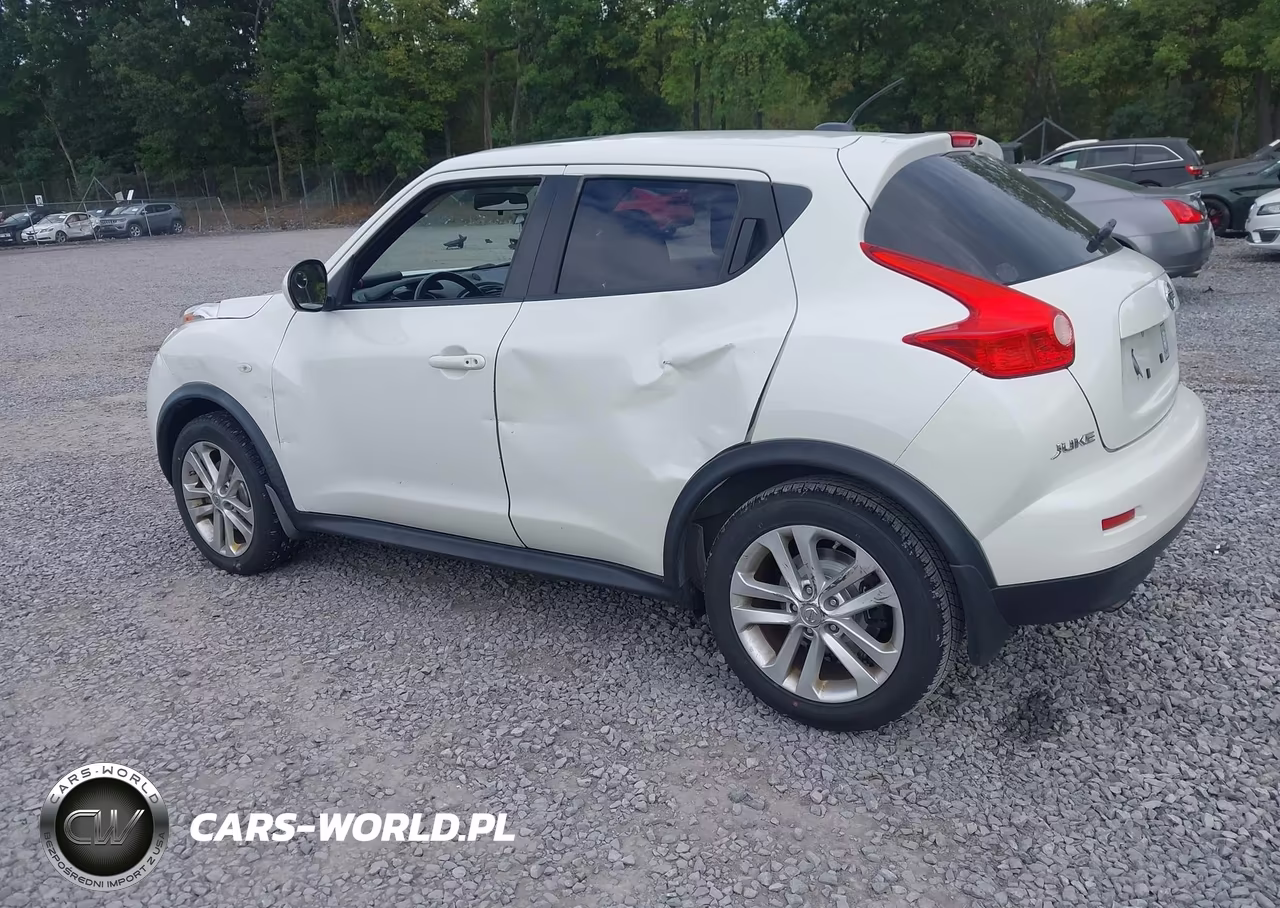 2013 Nissan Juke Sv VIN:JN8AF5MV3DT215385 - 3