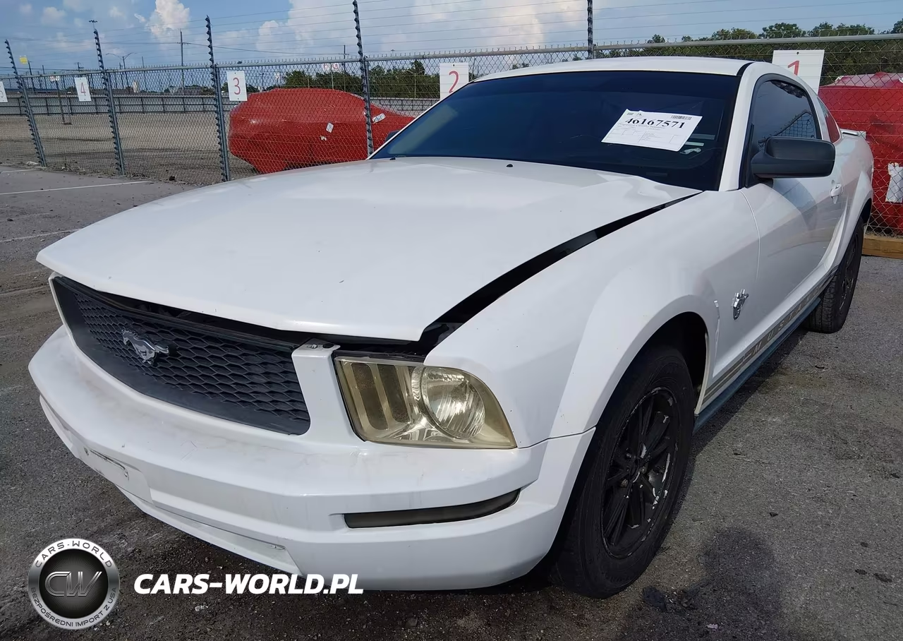 2009 Ford Mustang V6-V6 Premium VIN:1ZVHT80N695133718 - 2
