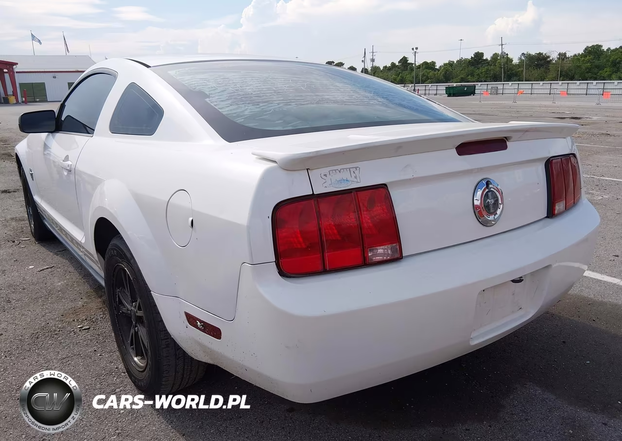 2009 Ford Mustang V6-V6 Premium VIN:1ZVHT80N695133718 - 3
