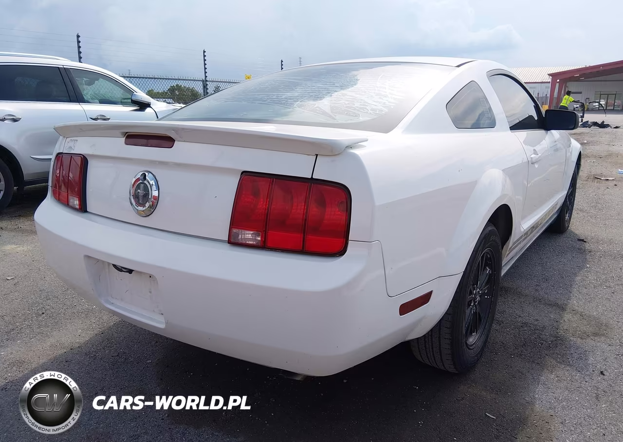 2009 Ford Mustang V6-V6 Premium VIN:1ZVHT80N695133718 - 4