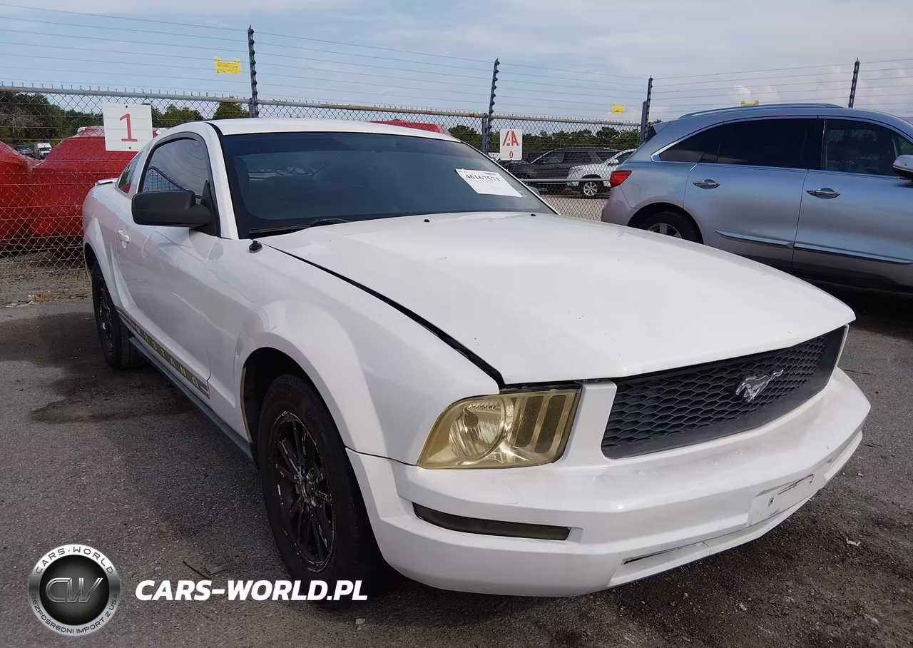2009 Ford Mustang V6-V6 Premium VIN:1ZVHT80N695133718 - 6