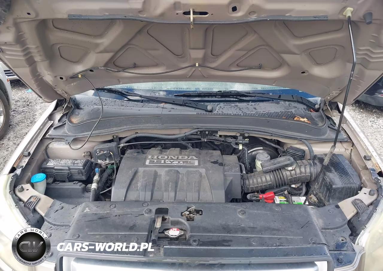 2006 Honda Pilot Ex-L VIN:5FNYF285X6B004239 - 10