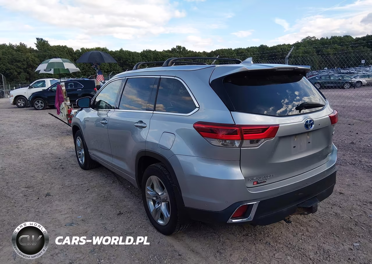 2019 Toyota Highlander Hybrid Limited VIN:5TDDGRFH1KS072744 - 3