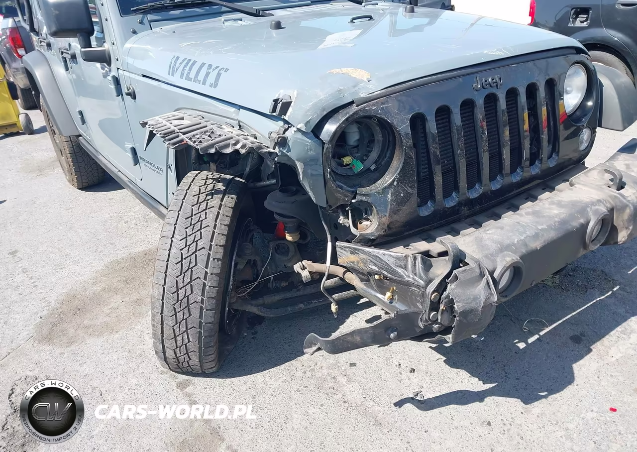 2014 Jeep Wrangler Unlimited Willys Wheeler VIN:1C4BJWDG0EL309747 - 6
