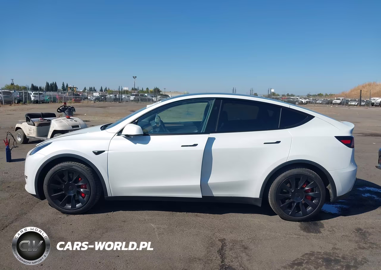 2023 Tesla Model Y Awd-Long Range Dual Motor All-Wheel Drive VIN:7SAYGAEE5PF939605 - 12