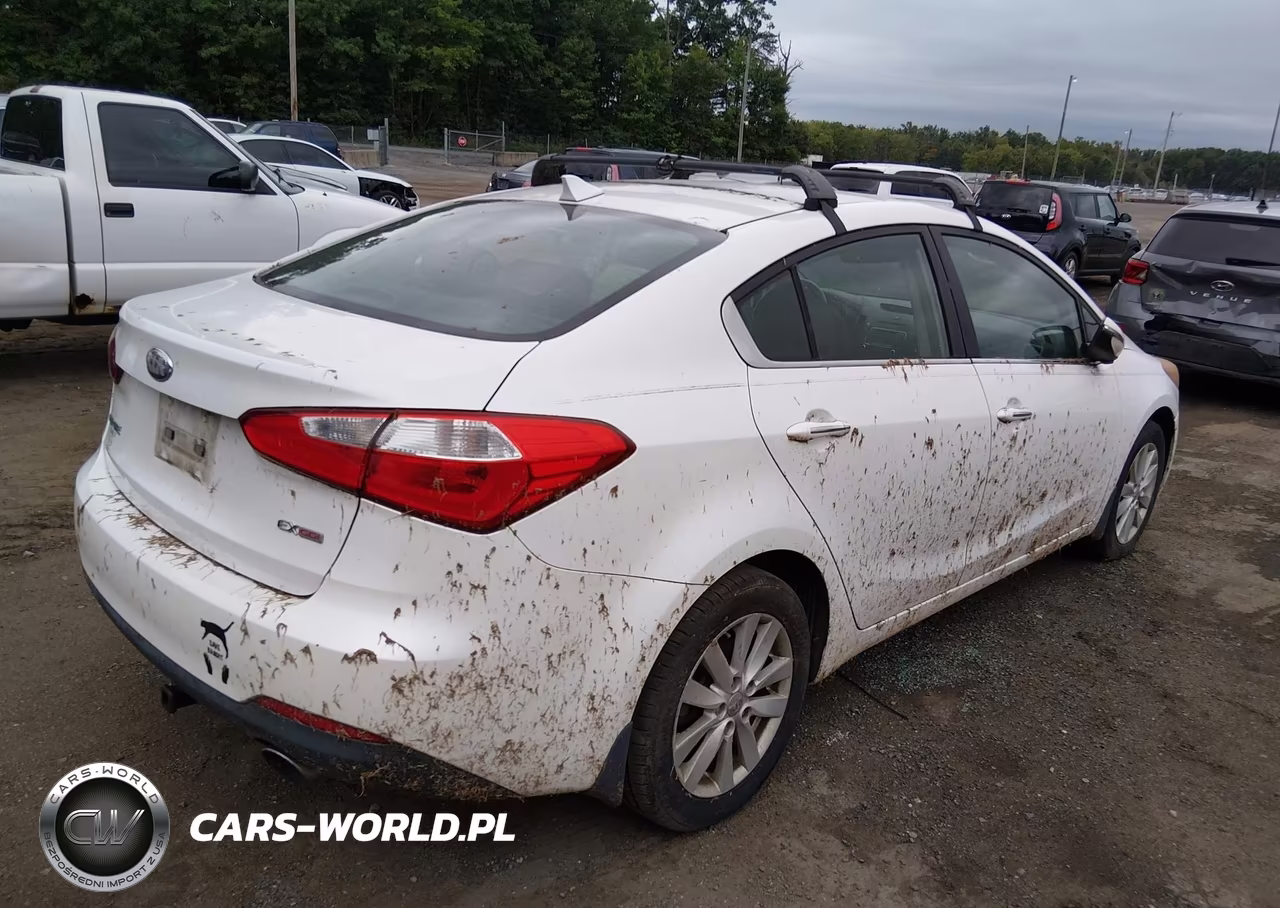 2014 Kia Forte Ex VIN:KNAFX4A86E5051995 - 4