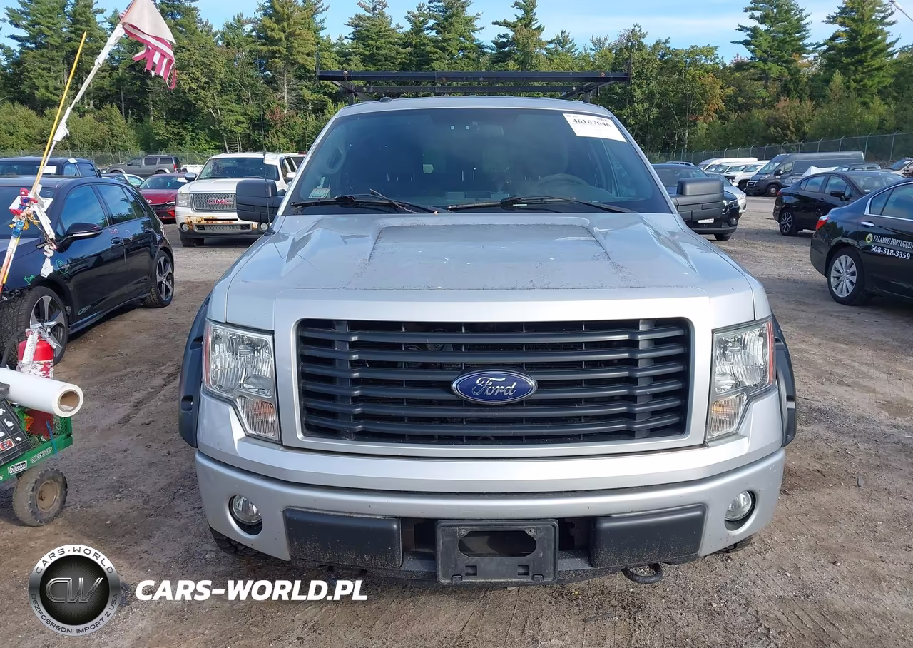 2014 Ford F-150 Stx VIN:1FTFX1EFXEFC24146 - 12