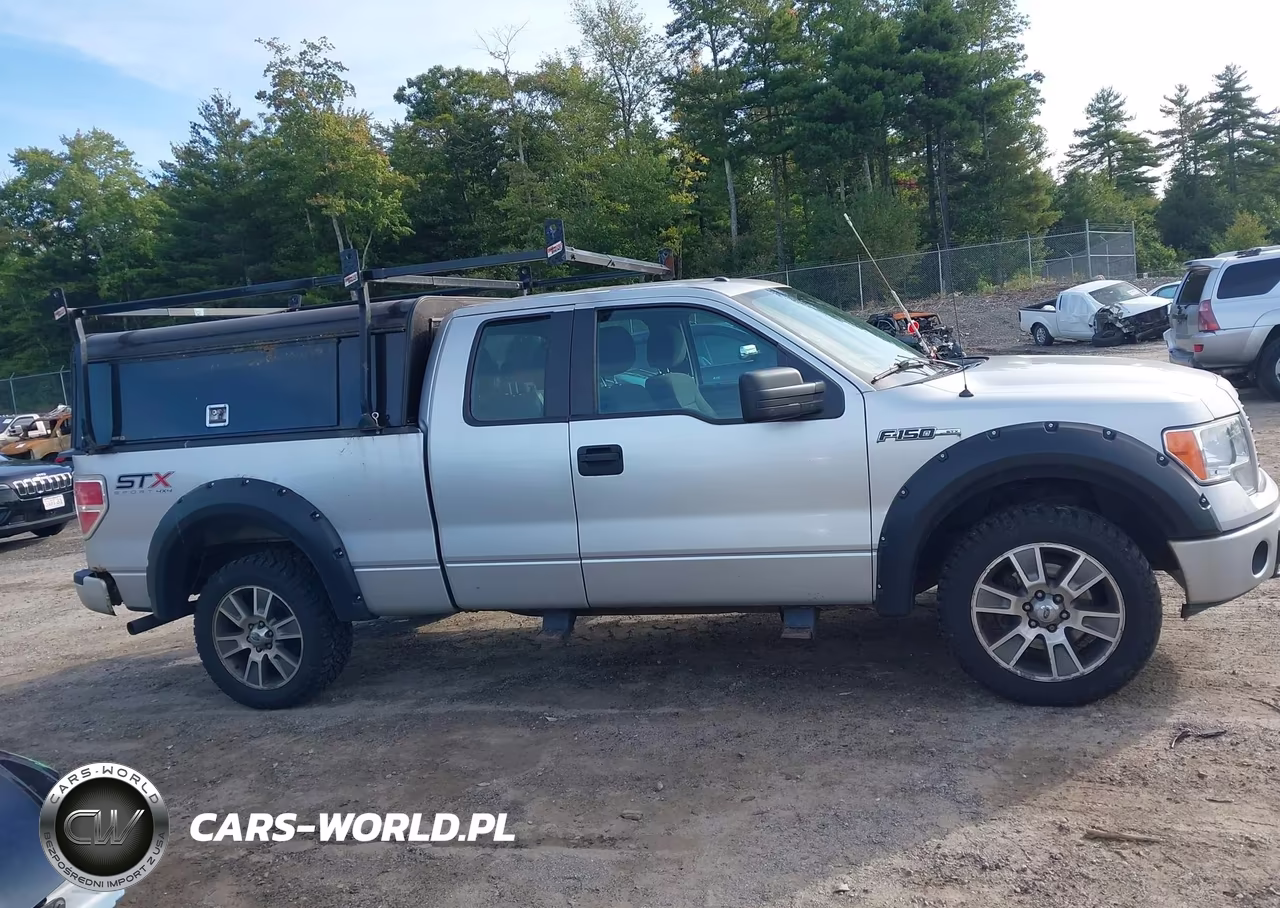 2014 Ford F-150 Stx VIN:1FTFX1EFXEFC24146 - 13