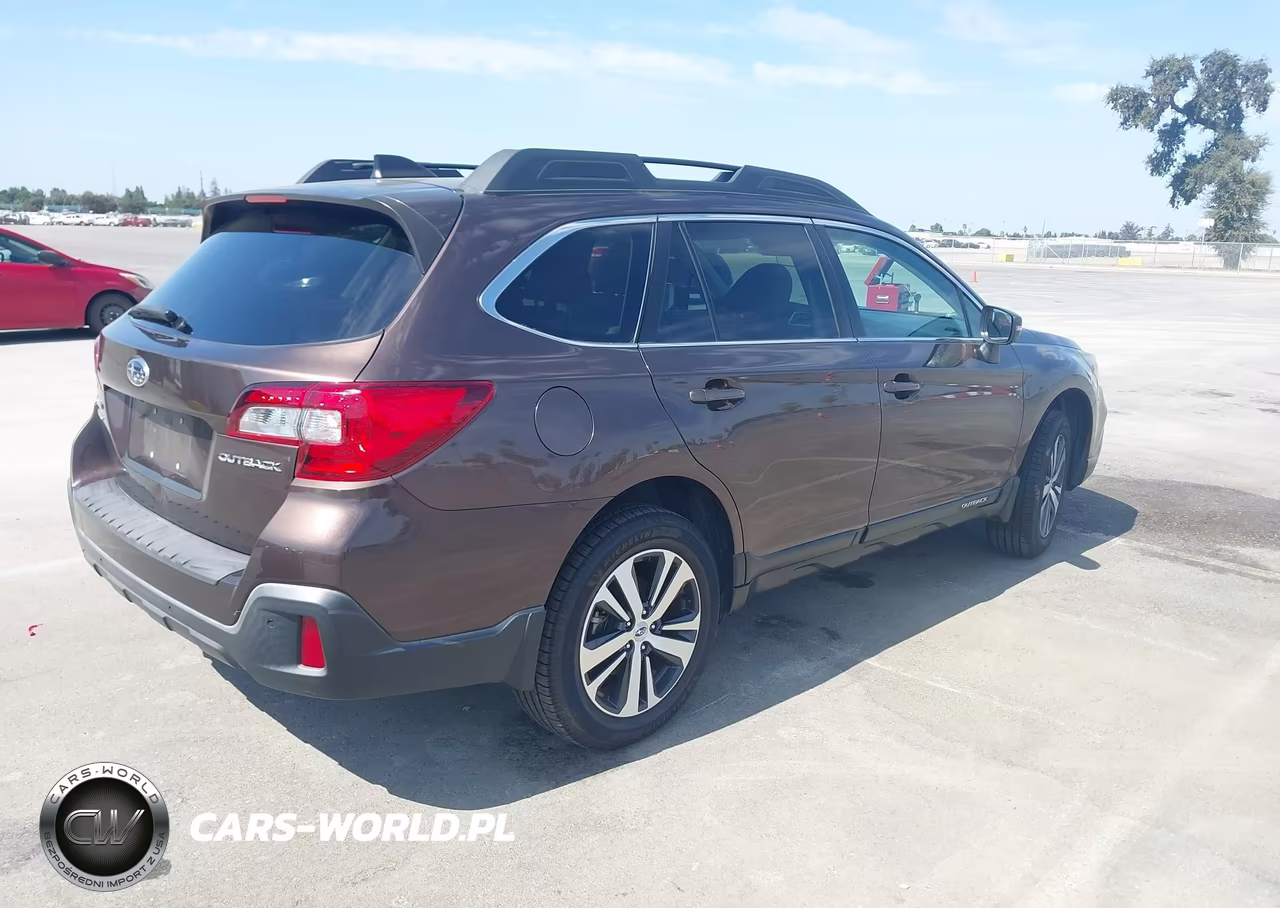 2019 Subaru Outback 2.5I Limited VIN:4S4BSANC4K3337666 - 4
