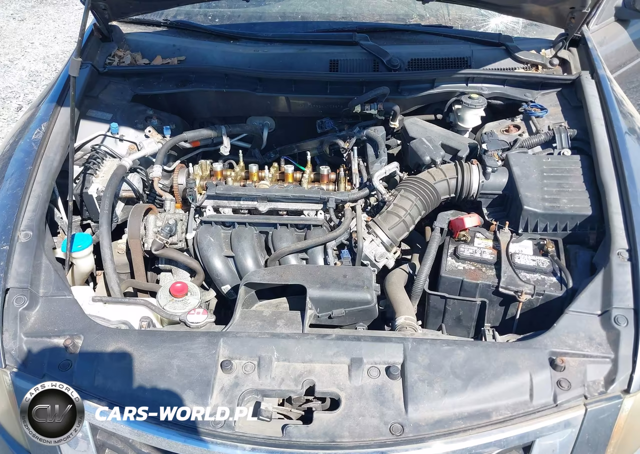 2010 Honda Accord 2.4 Lx VIN:1HGCP2F32AA103875 - 10