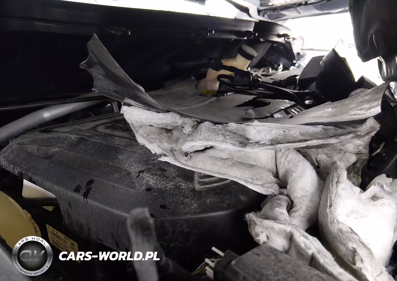 2019 Ford Ecosport Se VIN:MAJ6S3GL4KC276758 - 10