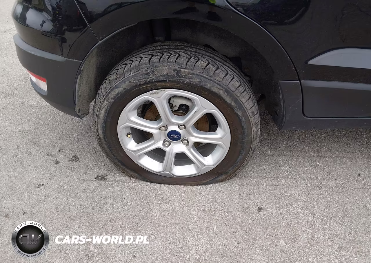 2020 Ford Ecosport Se VIN:MAJ6S3GL9LC389803 - 19