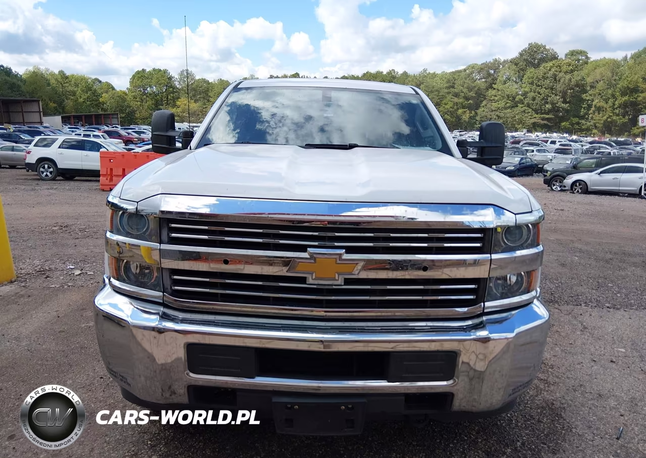 2018 Chevrolet Silverado 3500Hd Wt VIN:1GC4KYCG7JF276872 - 12