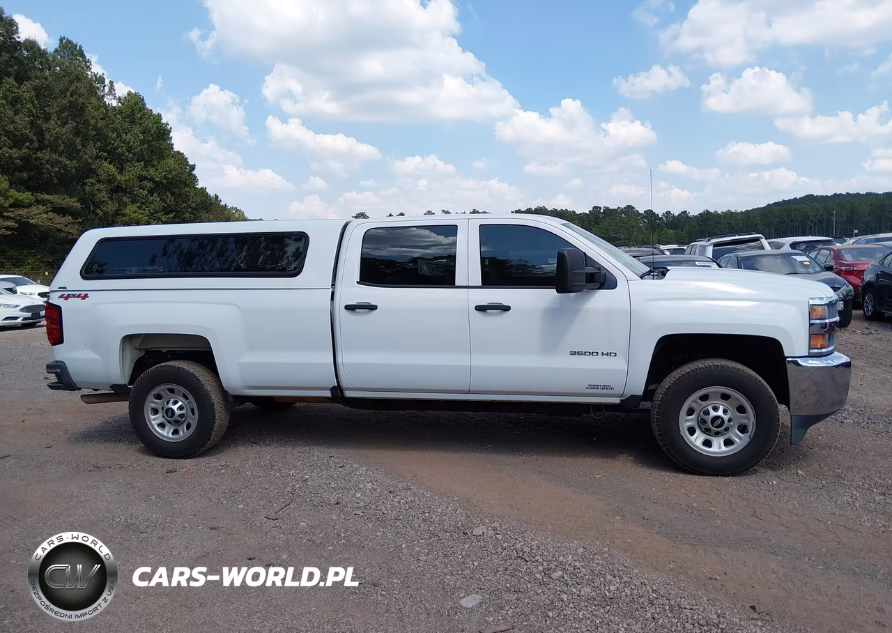 2018 Chevrolet Silverado 3500Hd Wt VIN:1GC4KYCG7JF276872 - 13