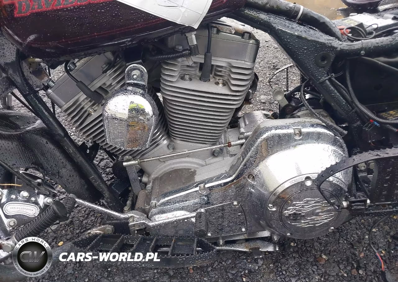 2005 Harley-Davidson Flhti VIN:1HD1FVW125Y631002 - 9