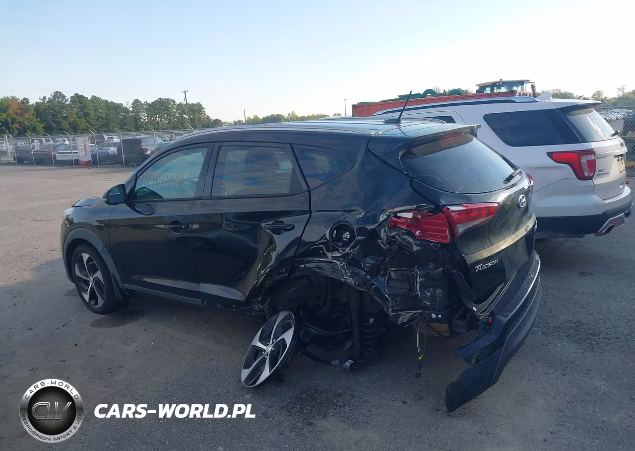 2016 Hyundai Tucson Sport VIN:KM8J33A28GU062113 - 15