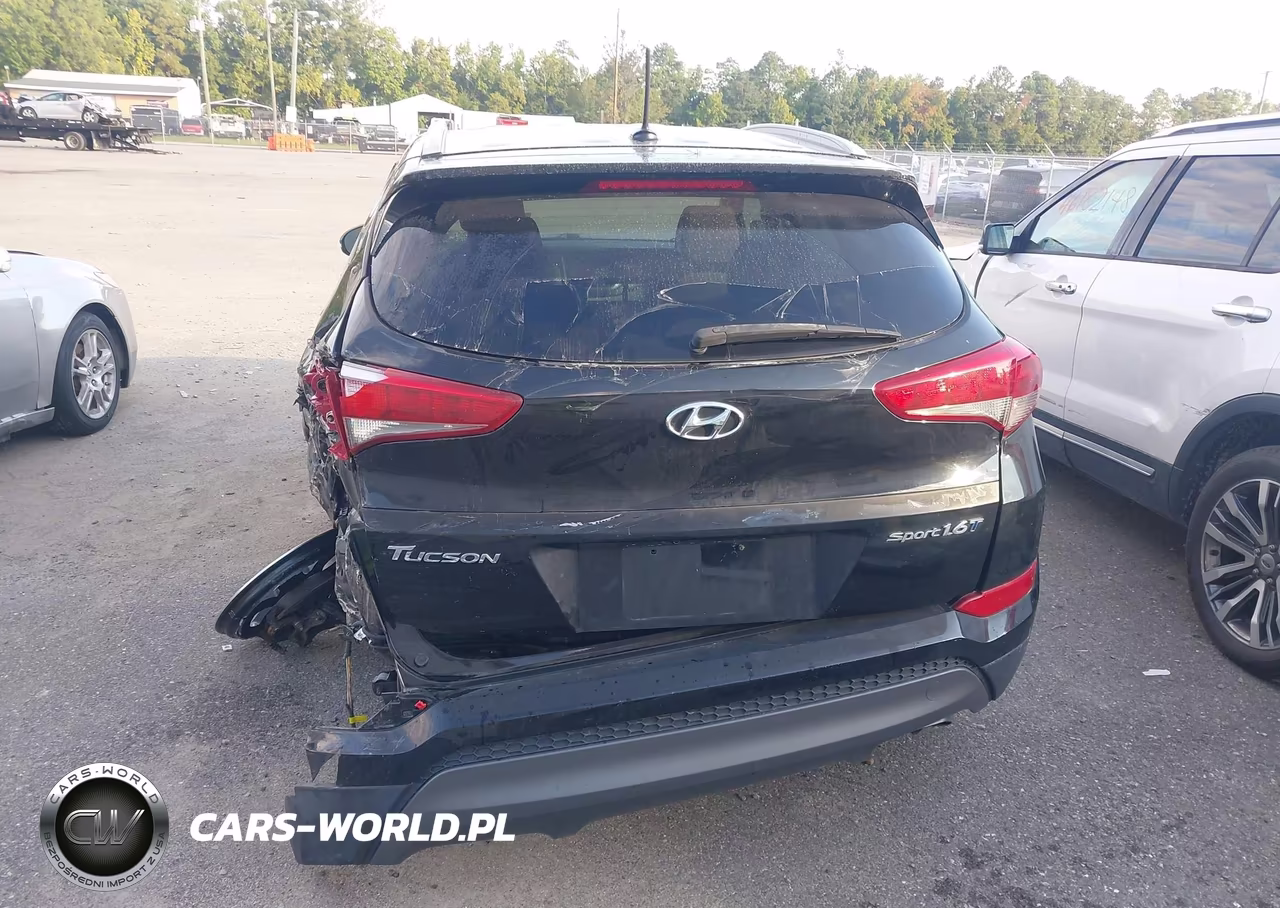 2016 Hyundai Tucson Sport VIN:KM8J33A28GU062113 - 17