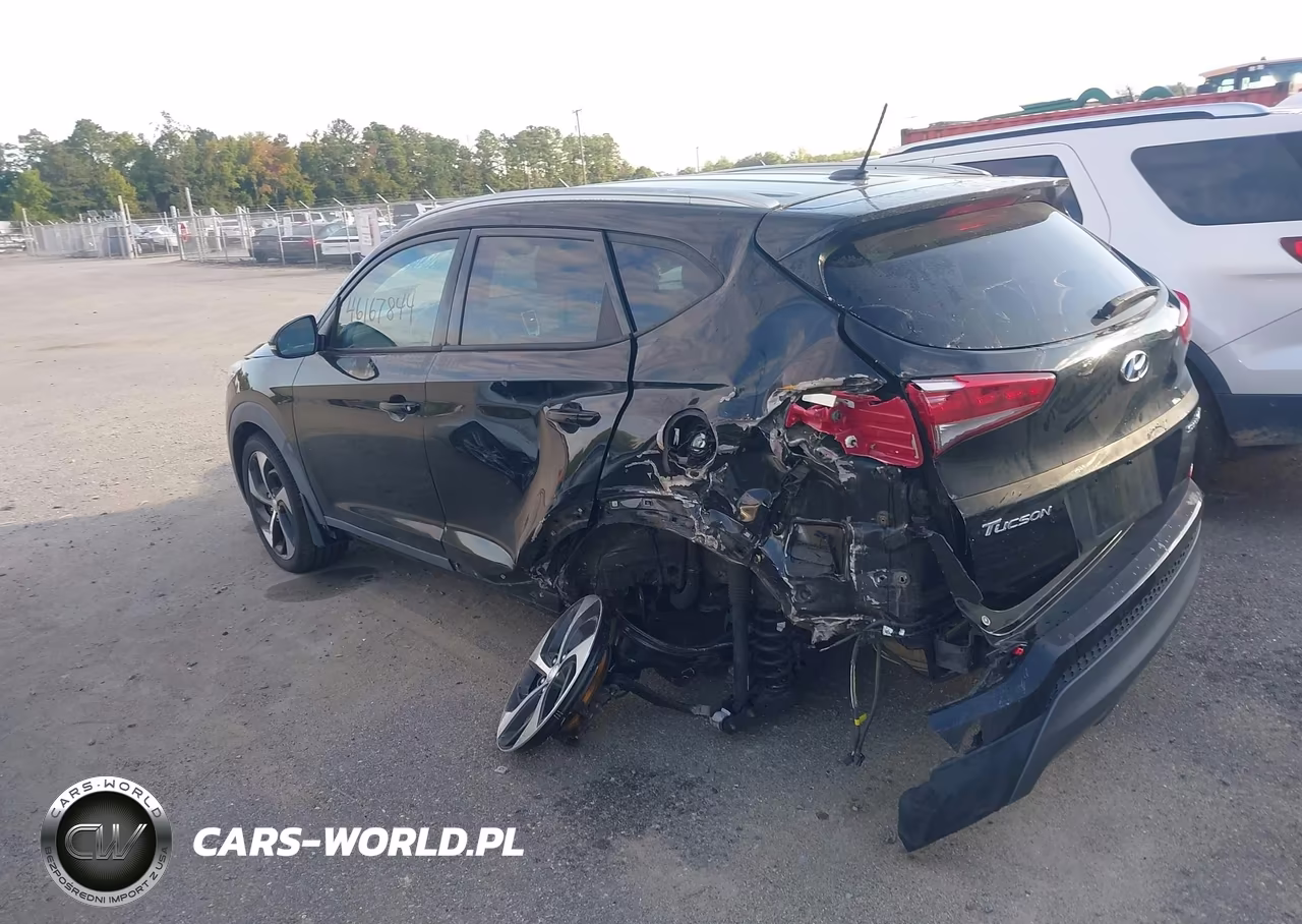 2016 Hyundai Tucson Sport VIN:KM8J33A28GU062113 - 3