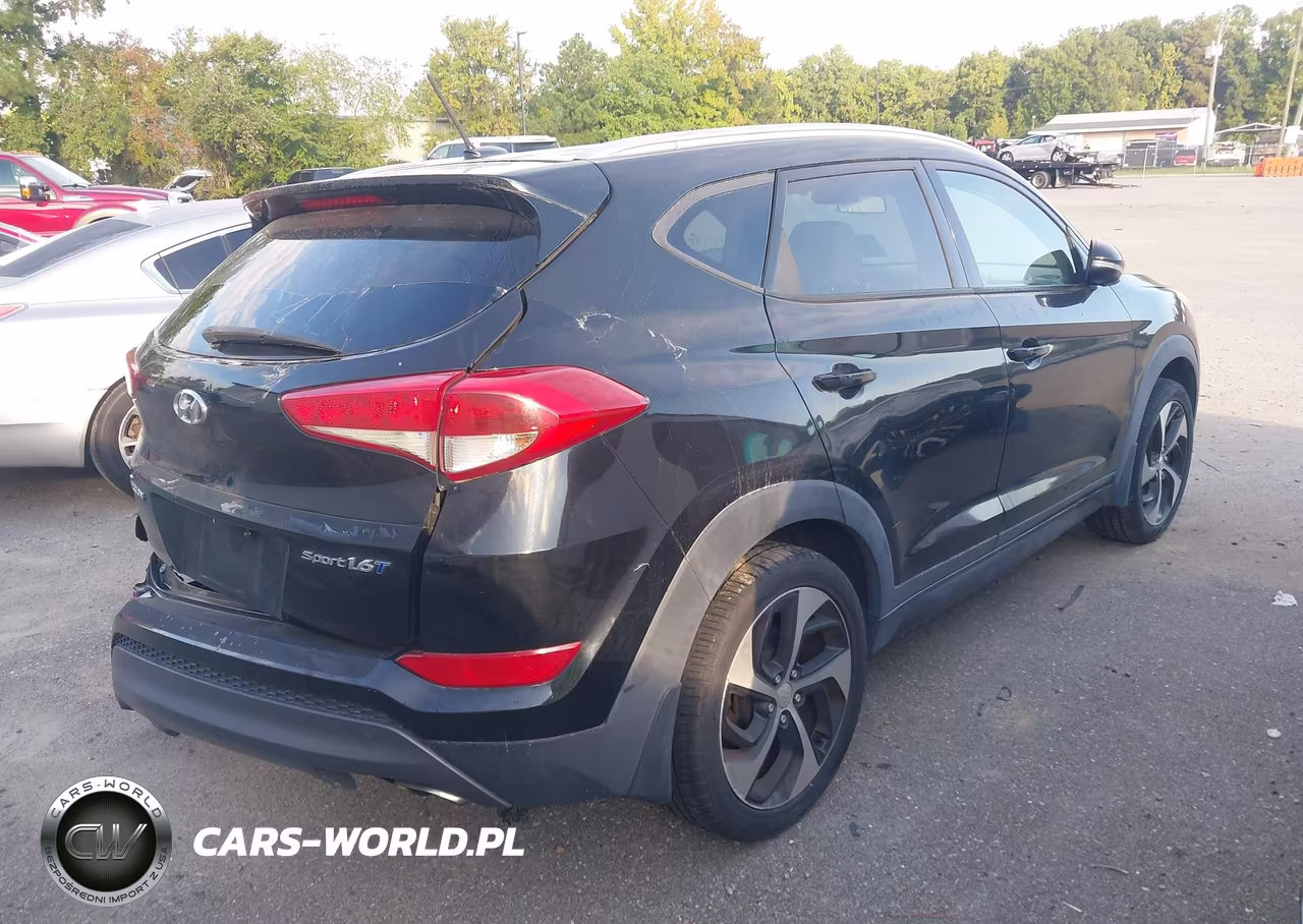 2016 Hyundai Tucson Sport VIN:KM8J33A28GU062113 - 4