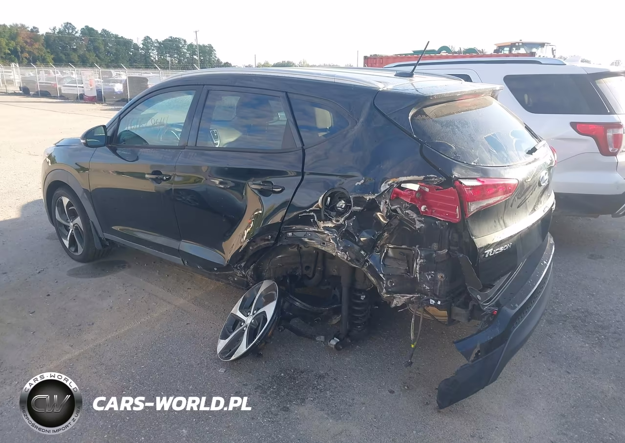 2016 Hyundai Tucson Sport VIN:KM8J33A28GU062113 - 6