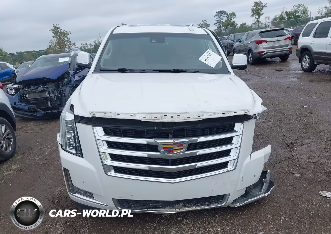 2016 Cadillac Escalade Premium Collection VIN:1GYS4CKJ5GR451252 - 13