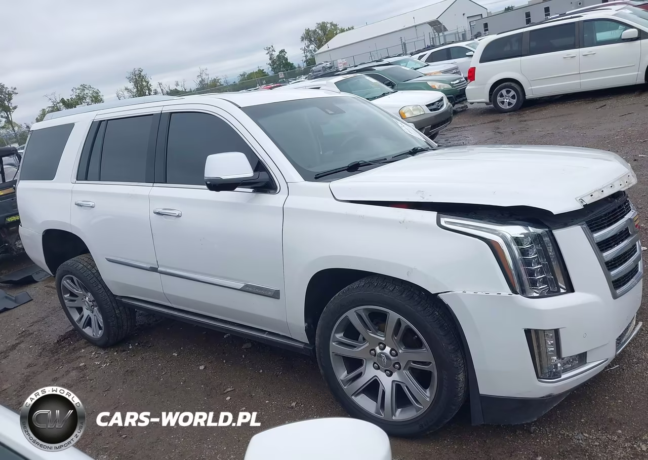 2016 Cadillac Escalade Premium Collection VIN:1GYS4CKJ5GR451252 - 14