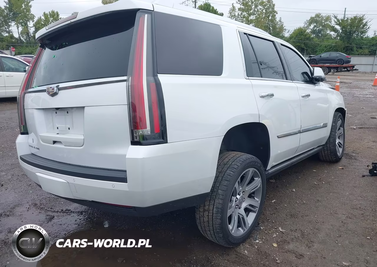 2016 Cadillac Escalade Premium Collection VIN:1GYS4CKJ5GR451252 - 4