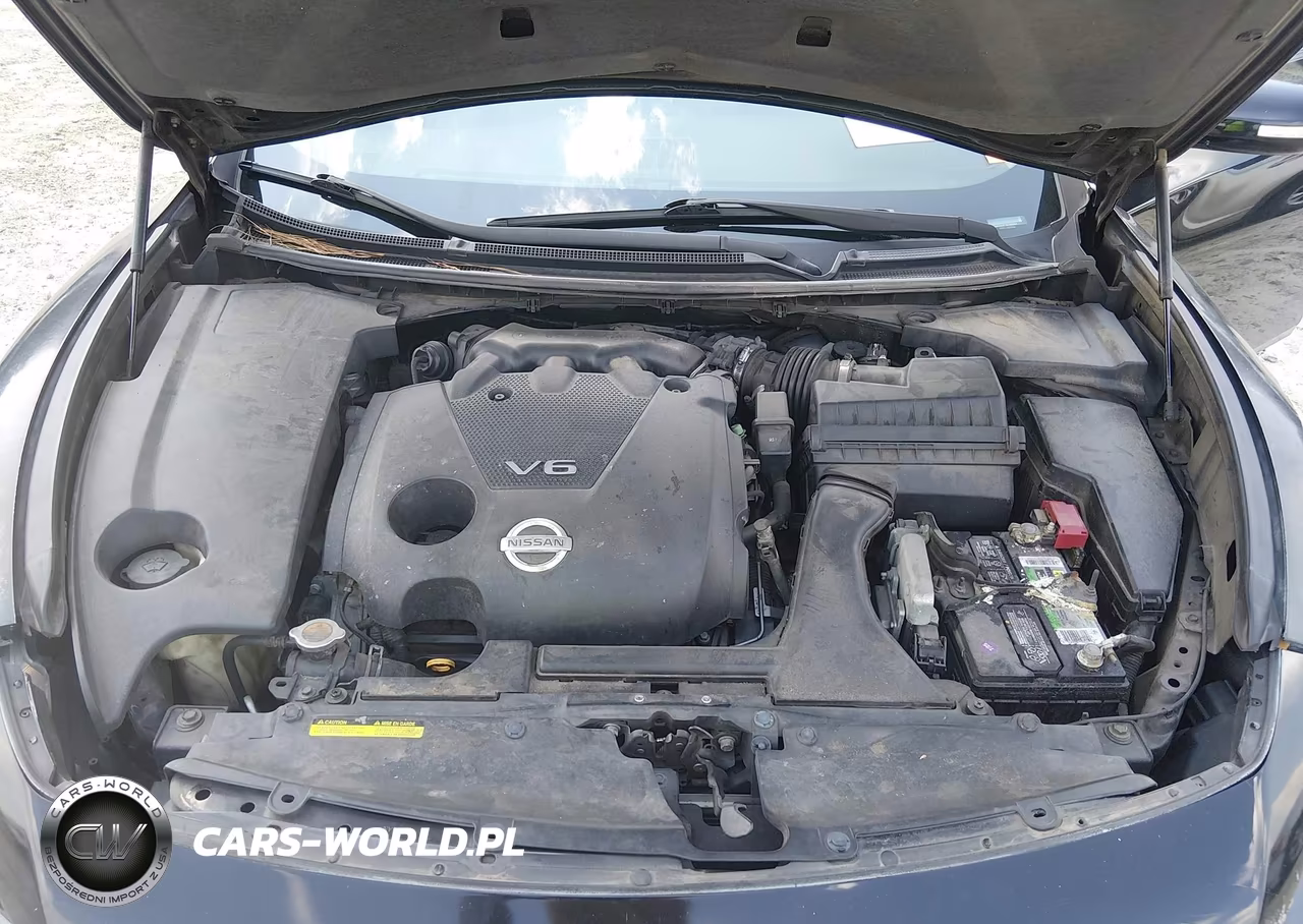 2009 Nissan Maxima 3.5 Sv VIN:1N4AA51E79C858804 - 10