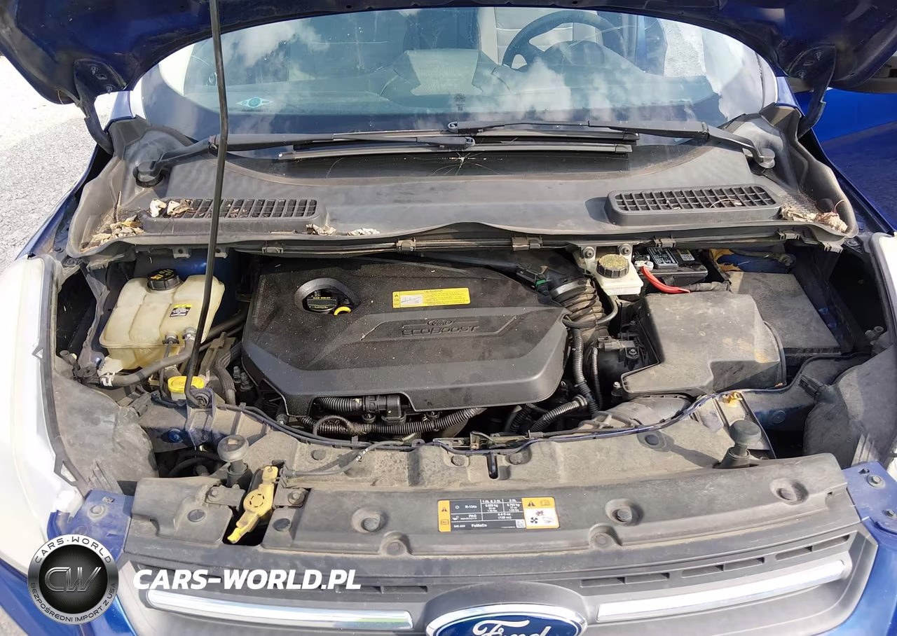2013 Ford Escape Se VIN:1FMCU0GX5DUD35513 - 10