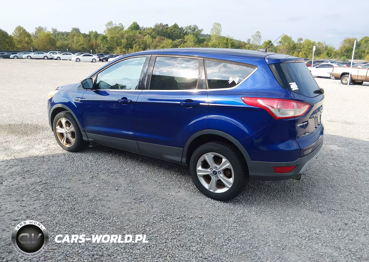 2013 Ford Escape Se VIN:1FMCU0GX5DUD35513 - 3