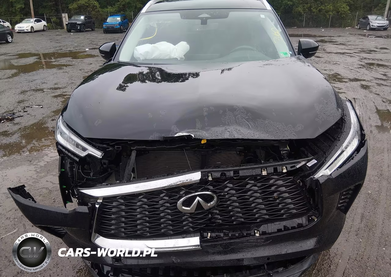 2024 Infiniti Qx60 Luxe Awd VIN:5N1DL1FS2RC346288 - 10