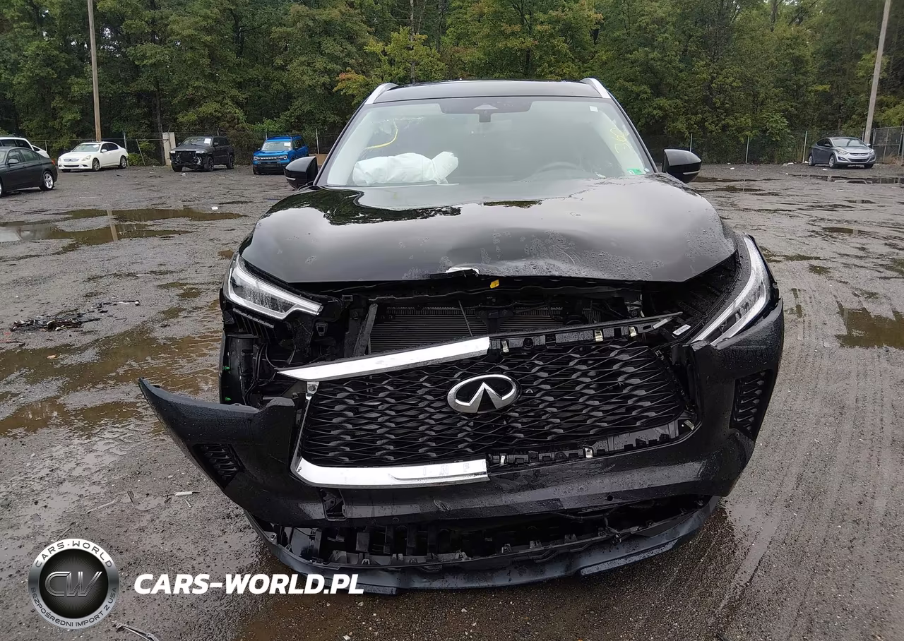 2024 Infiniti Qx60 Luxe Awd VIN:5N1DL1FS2RC346288 - 12