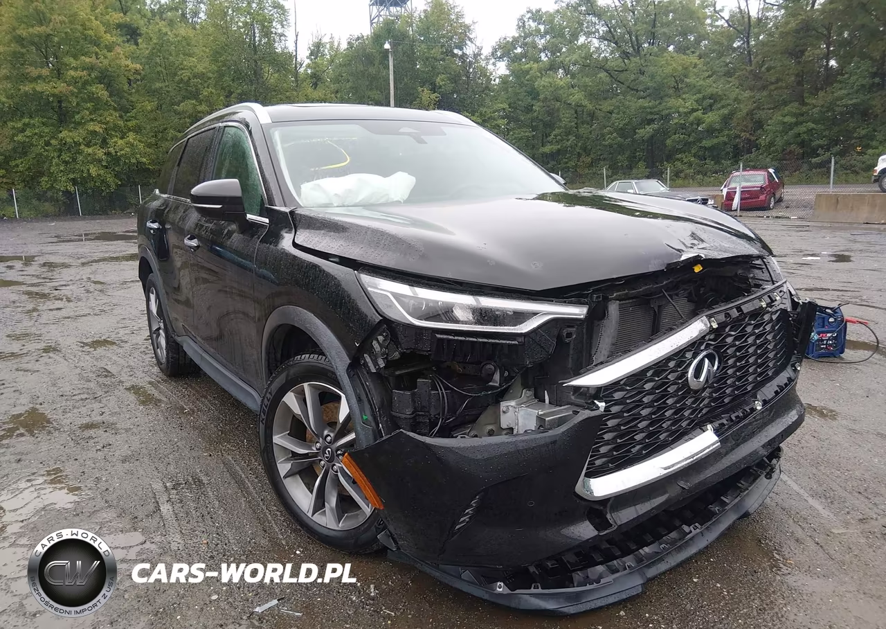 2024 Infiniti Qx60 Luxe Awd VIN:5N1DL1FS2RC346288 - 6