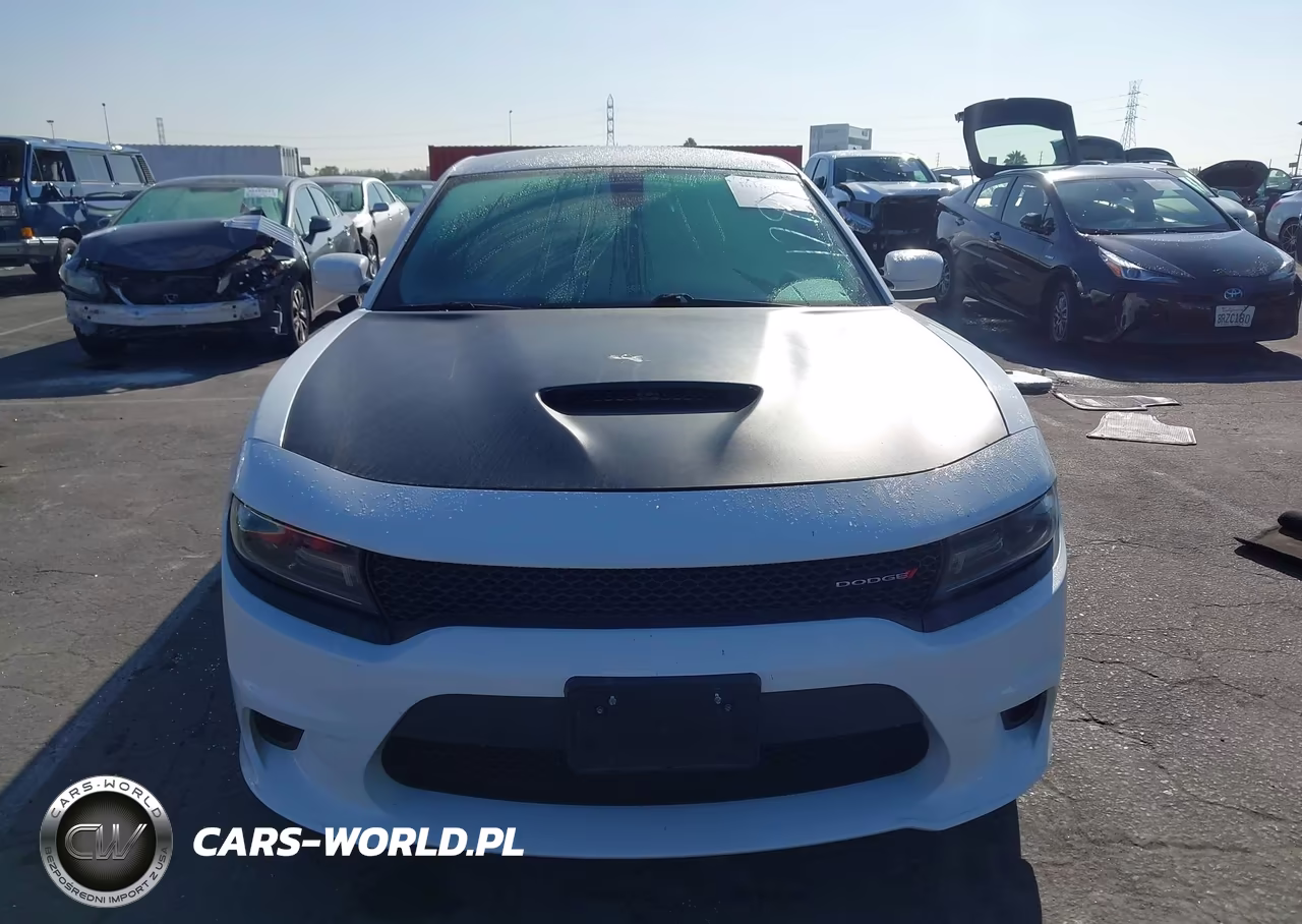 2019 Dodge Charger Gt Rwd VIN:2C3CDXHG6KH545828 - 12