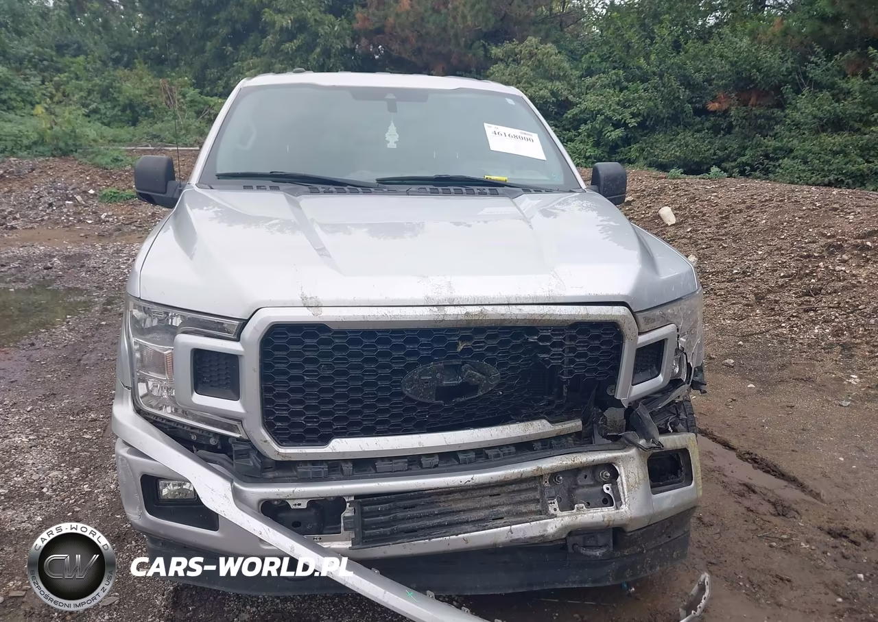2019 Ford F-150 Xl VIN:1FTEW1E54KFD16886 - 12