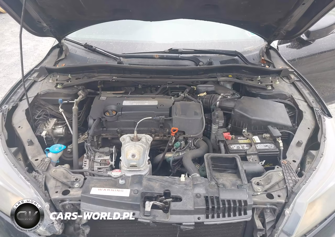 2014 Honda Accord Ex-L VIN:1HGCR2F83EA118753 - 10