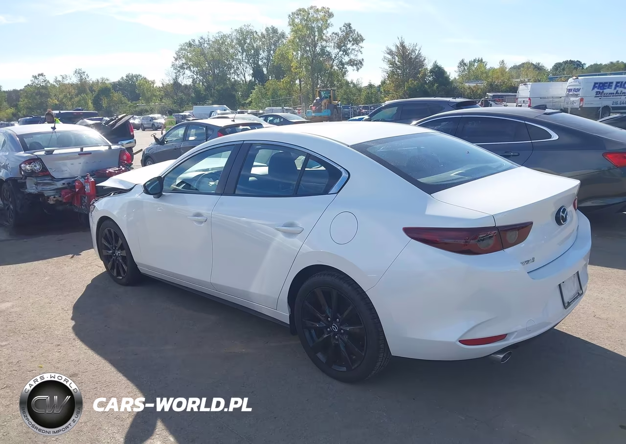 2019 Mazda Mazda3 Select Package VIN:JM1BPACL2K1110724 - 3