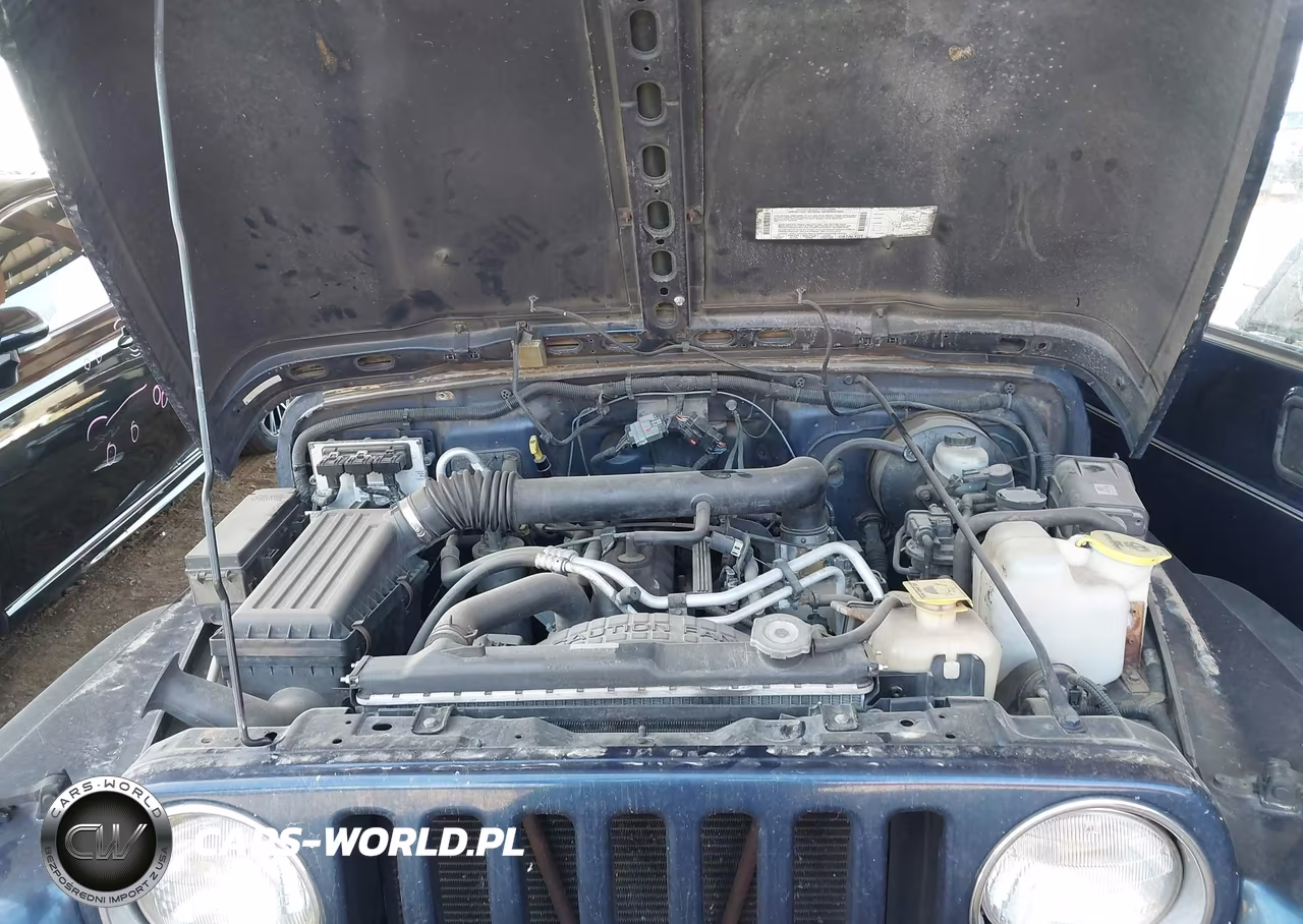 2001 Jeep Wrangler Sport VIN:1J4FA49S51P309579 - 10