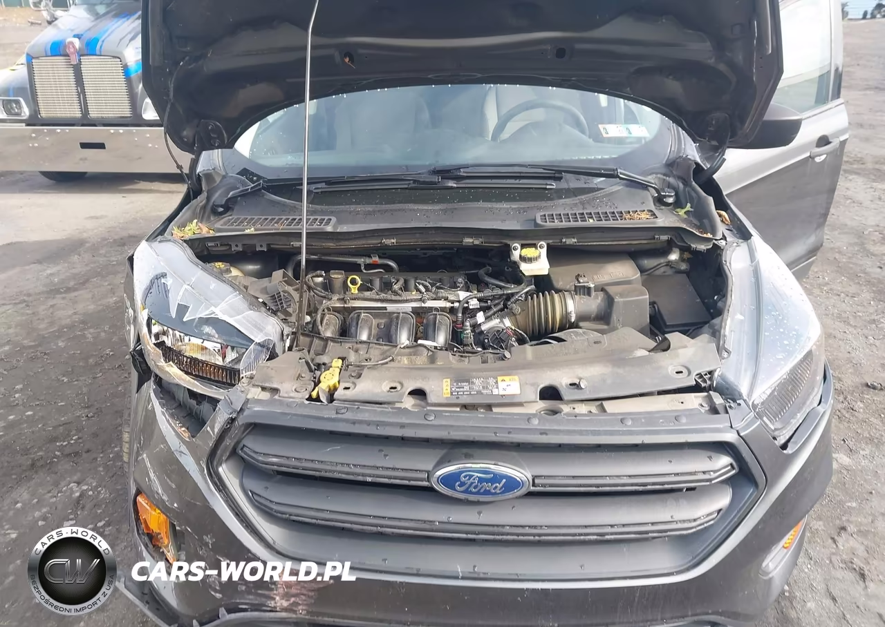 2019 Ford Escape S VIN:1FMCU0F71KUC43880 - 10