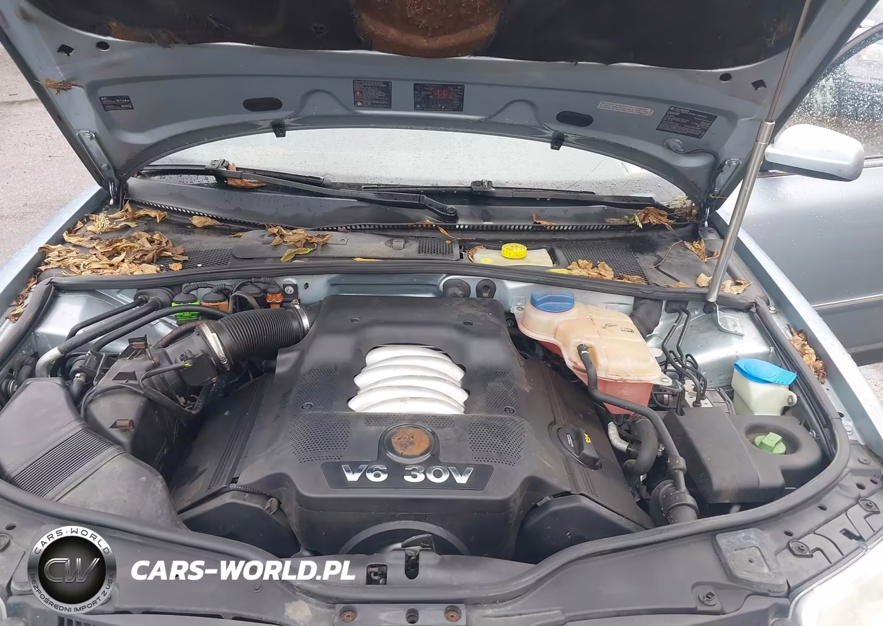 2004 Volkswagen Passat Glx VIN:WVWYH63B74E136064 - 10