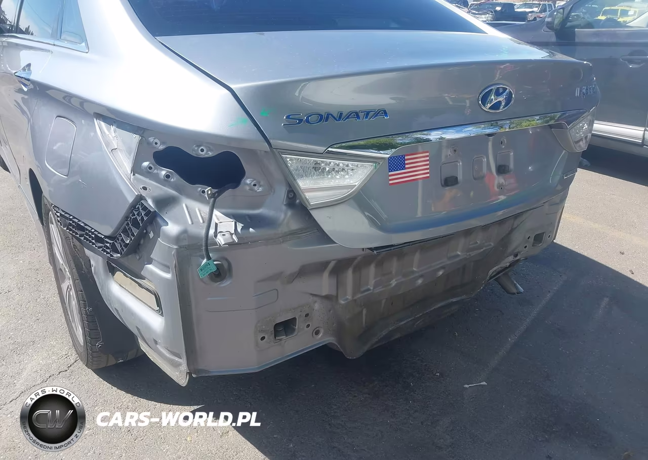 2014 Hyundai Sonata Hybrid Limited VIN:KMHEC4A45EA112117 - 6