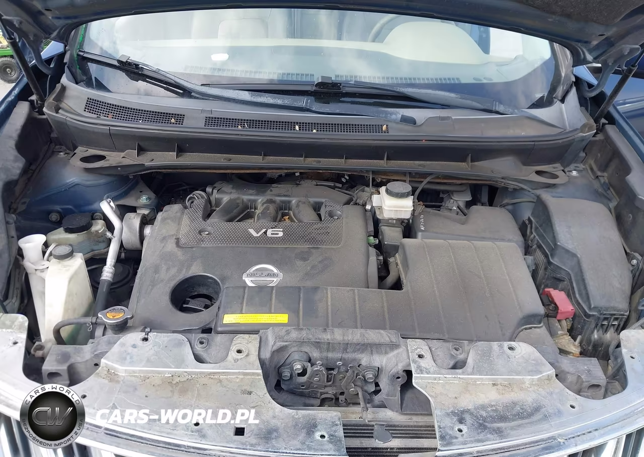 2010 Nissan Murano Sl VIN:JN8AZ1MU1AW015798 - 10