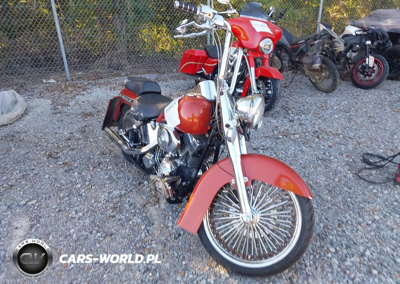 2005 Harley-Davidson Flstci