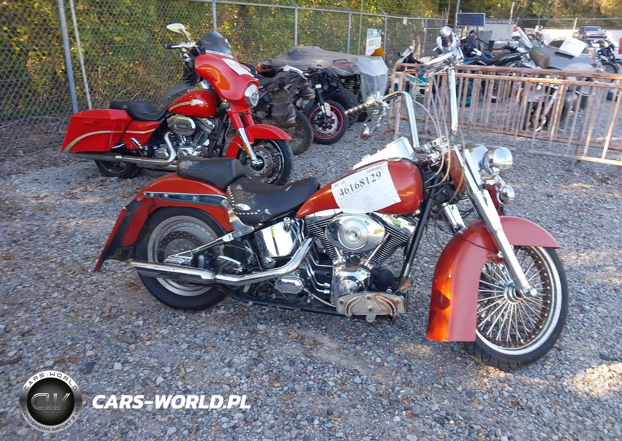 2005 Harley-Davidson Flstci VIN:1HD1BWB375Y079179 - 11